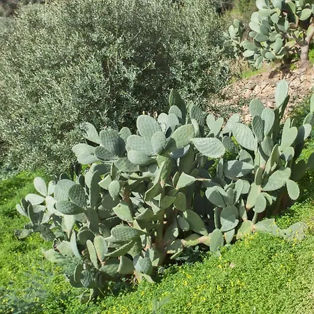 Διαμέρισμα Casa Assulanata *